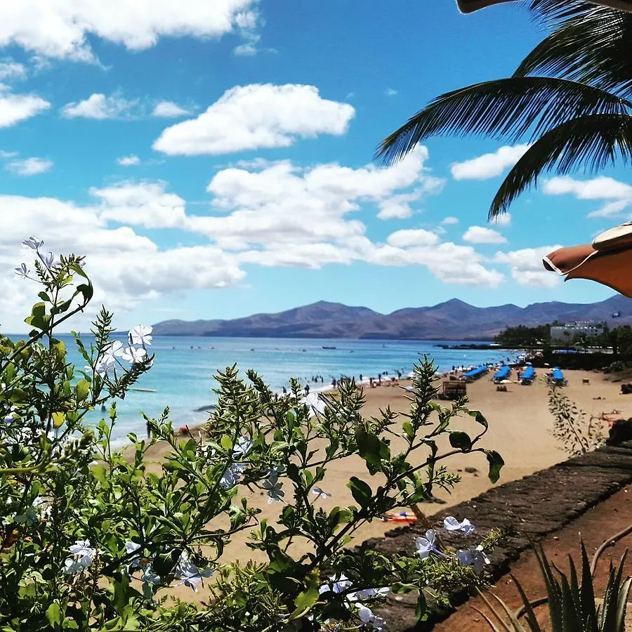 Apartamento Albatros Puerto del Carmen  Puerto del Carmen (Lanzarote)